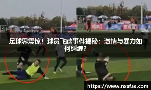 德赢官方