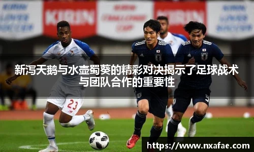 新泻天鹅与水壶蜀葵的精彩对决揭示了足球战术与团队合作的重要性