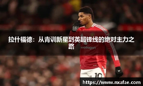 德赢官方